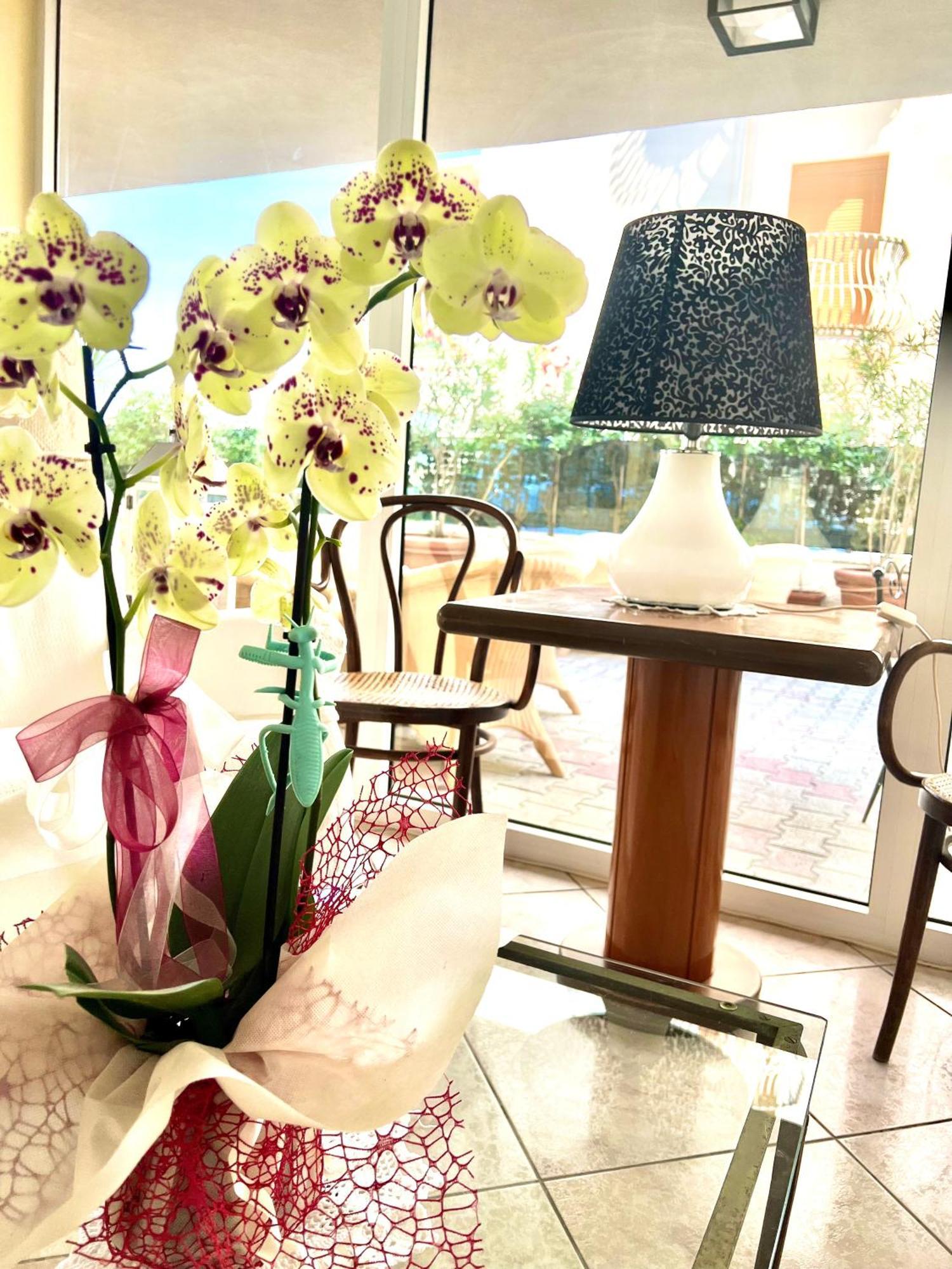 Hotel B&B Montecarlo Milano Marittima Exteriér fotografie